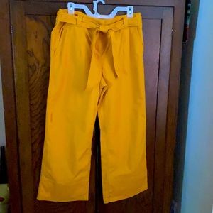 LOFT gold colored pants